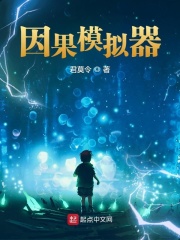 我的因果模拟器章节列表