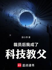 裁员后，我成了科技教父章节列表