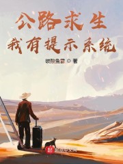公路求生，我有提示系统章节列表